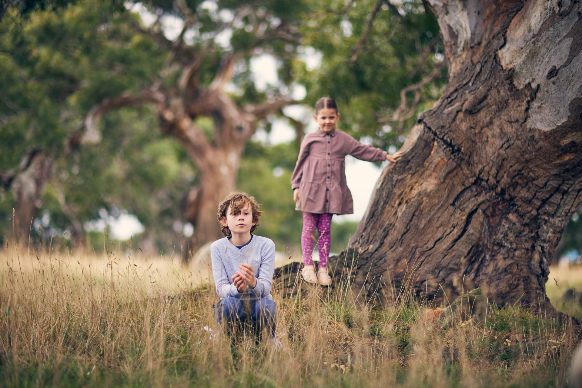 [Land for Sale] Peppercorn Hill Estate, Donnybrook OpenLot